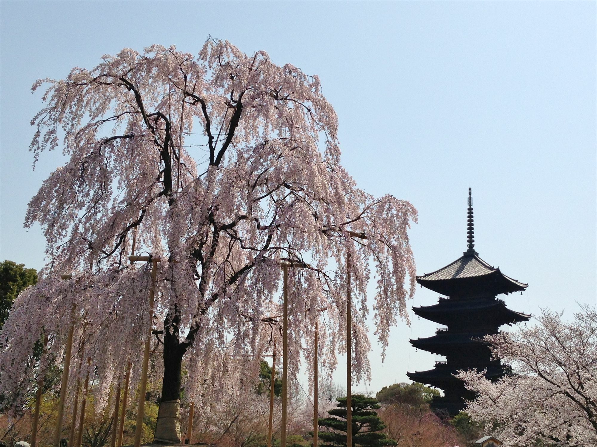 Hotel Livemax Kyoto Gojo Dış mekan fotoğraf